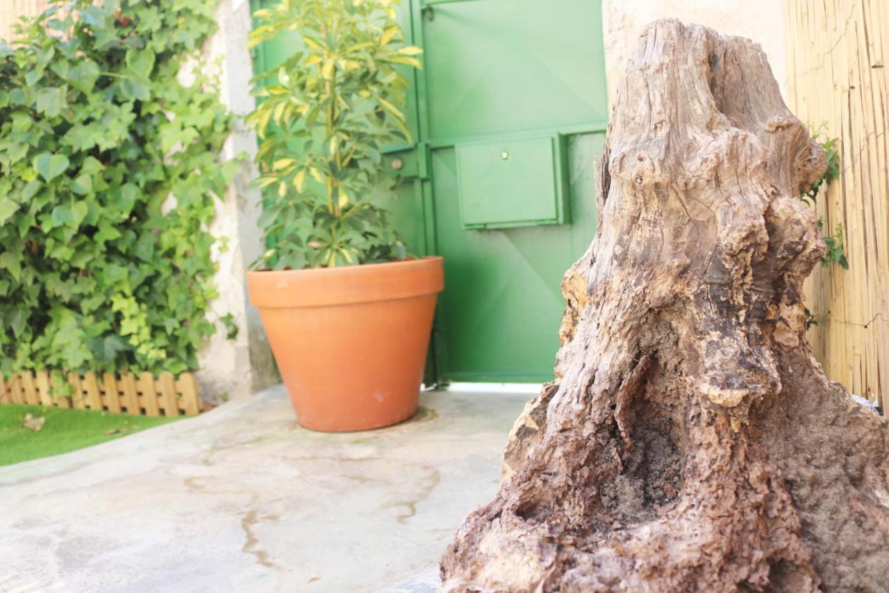 Green Element Guesthouse กอสตา ดา กาปาริกา ภายนอก รูปภาพ