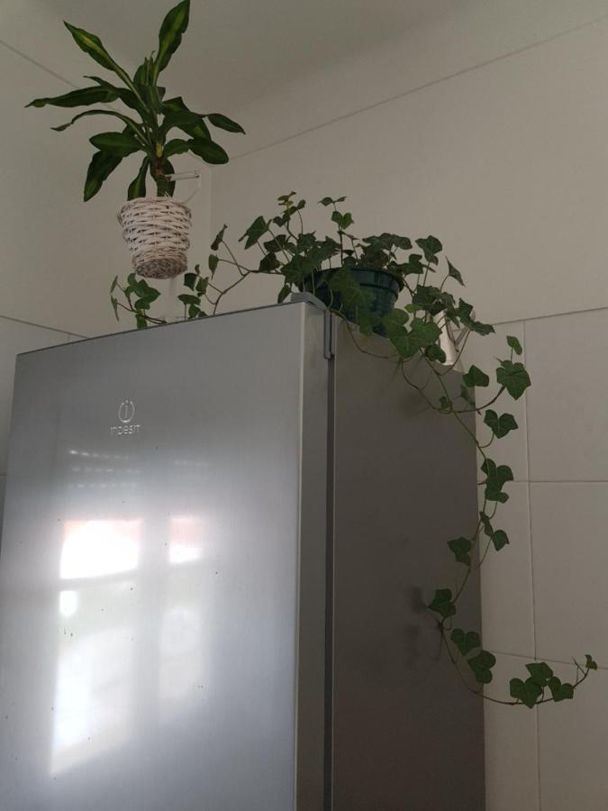 Green Element Guesthouse กอสตา ดา กาปาริกา ภายนอก รูปภาพ